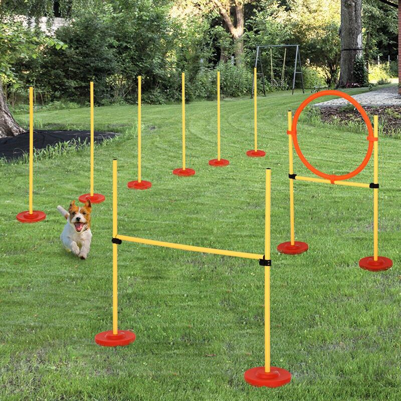 PawHut set antrenament cu obstacole si inel pentru caini