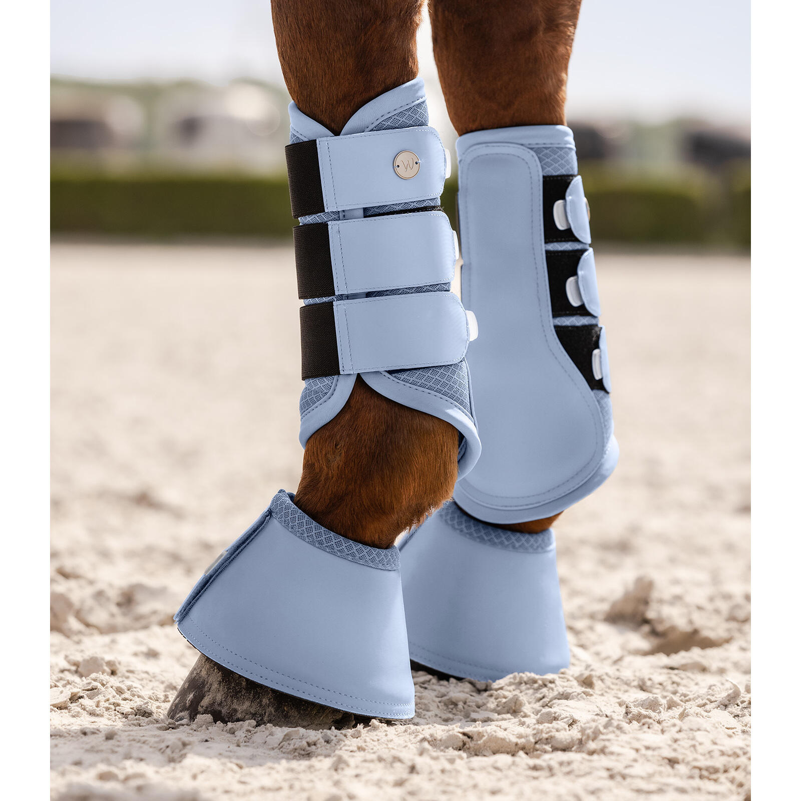 Dressage boots for horses Waldhausen Rimini 4/4