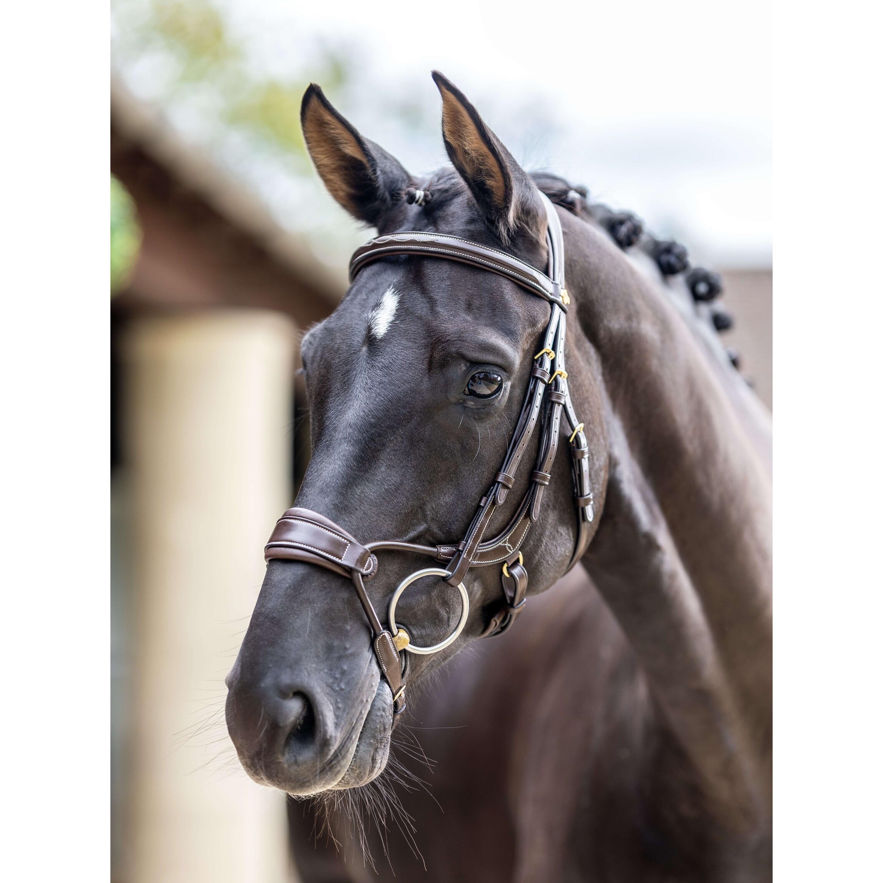 Hoofdstellen voor paarden LeMieux Kudos Clear Arc 2/5