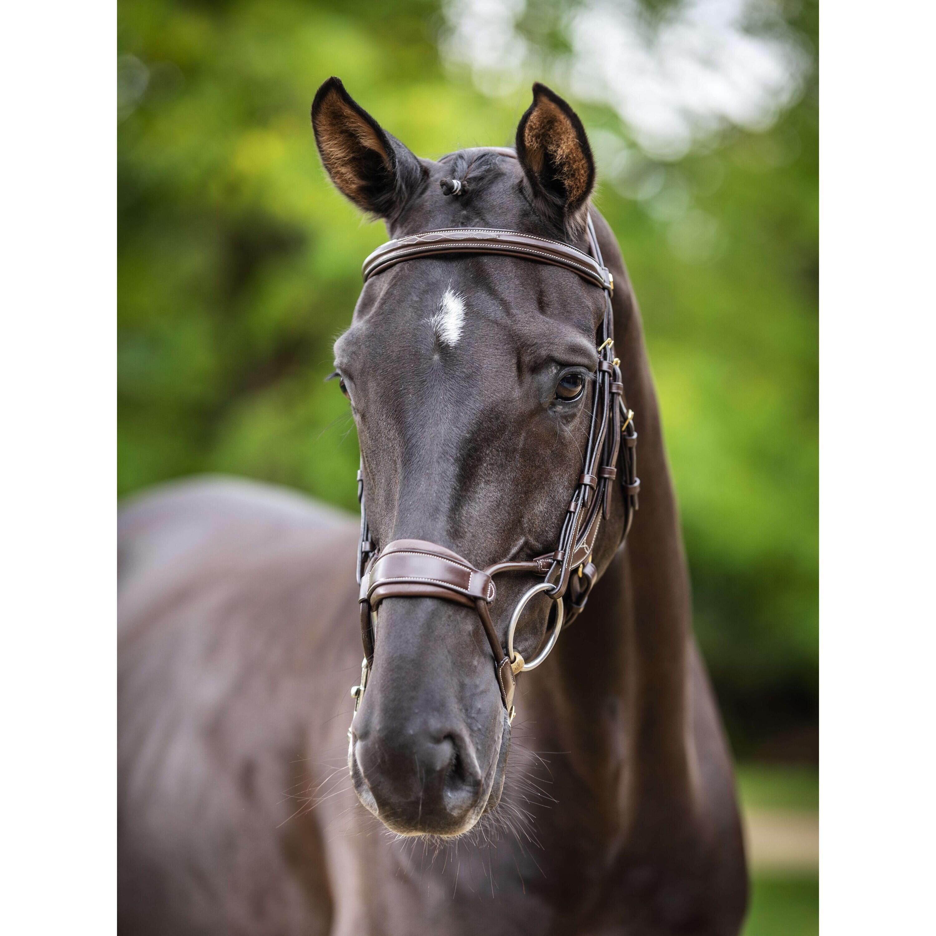 Hoofdstellen voor paarden LeMieux Kudos Clear Arc 4/5