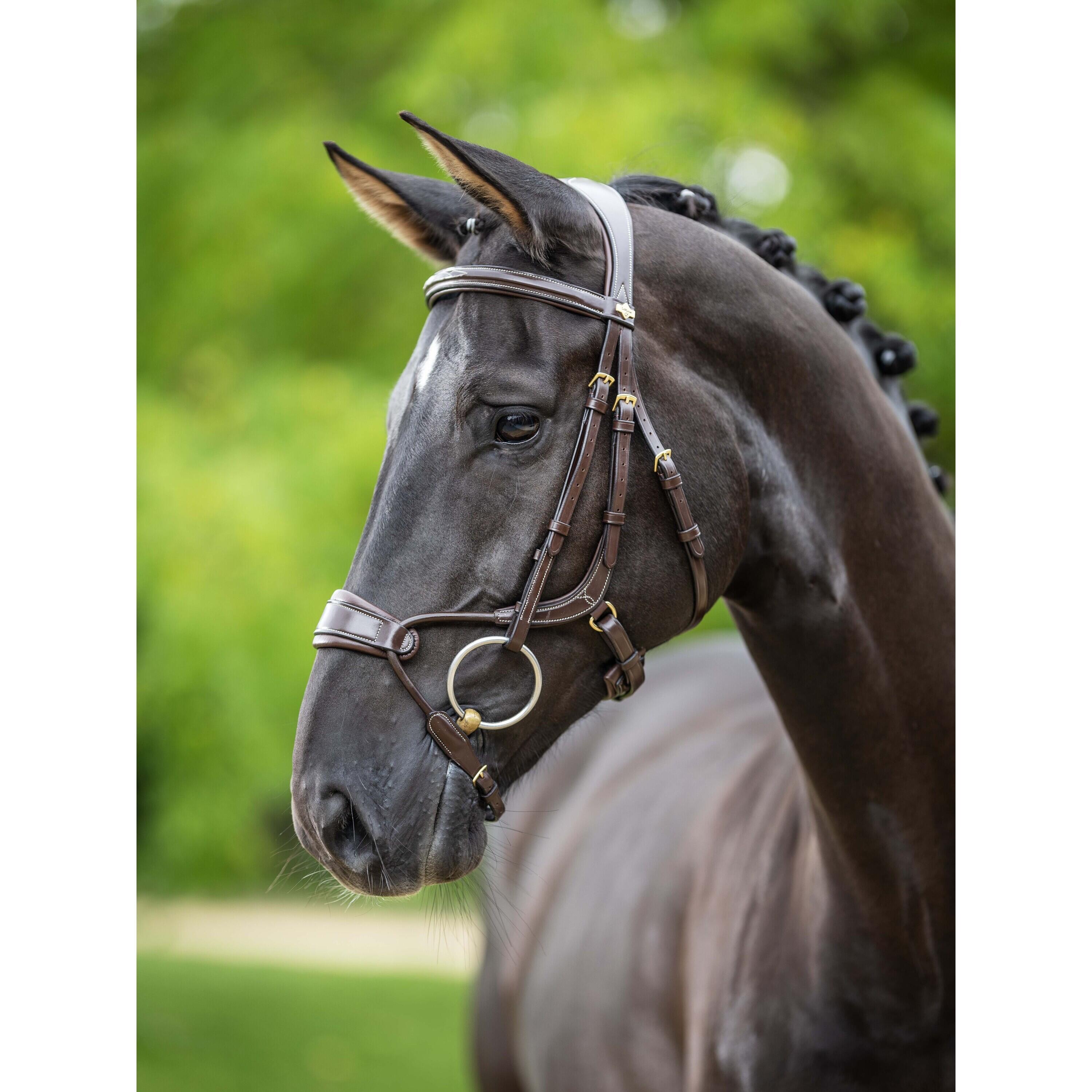Hoofdstellen voor paarden LeMieux Kudos Clear Arc 3/5