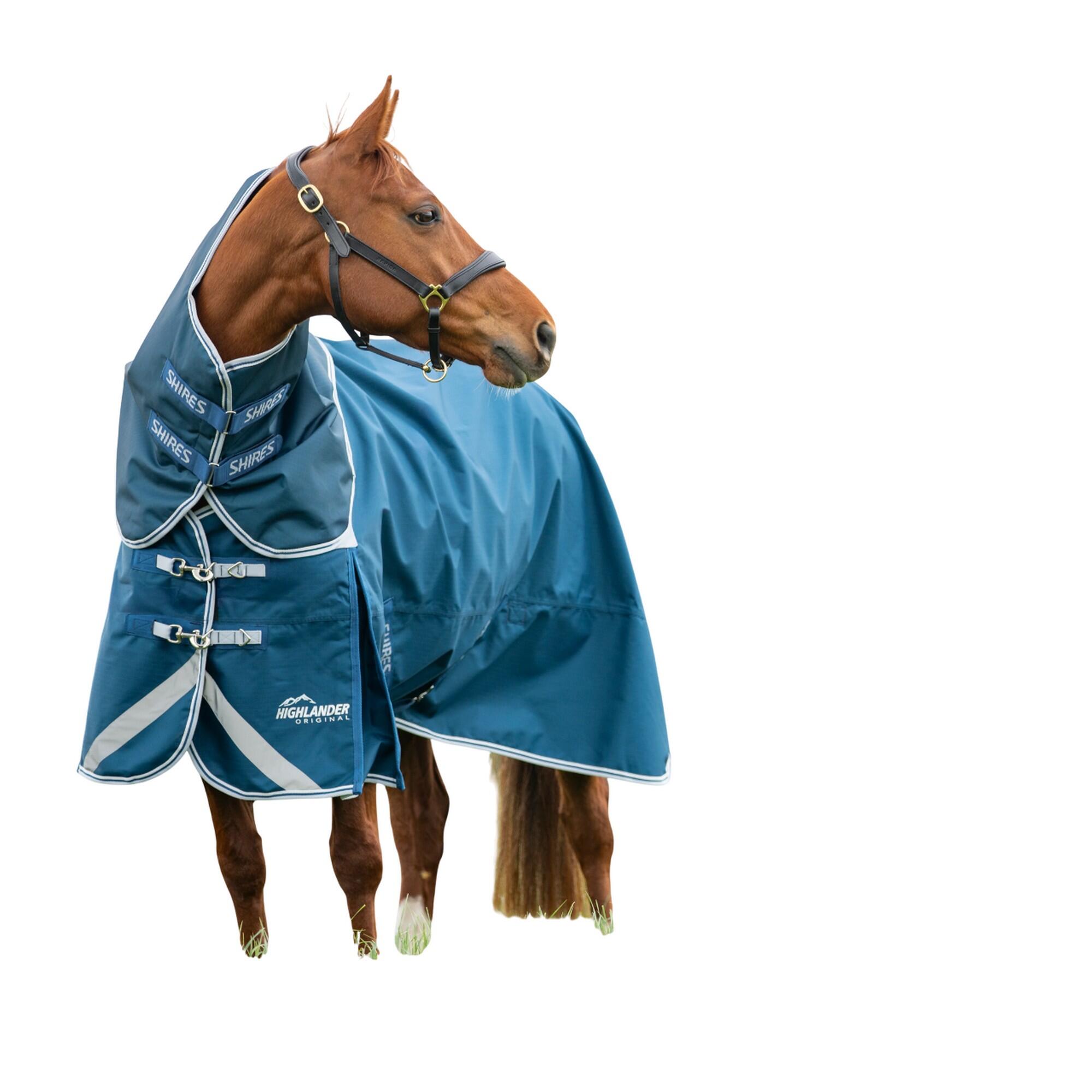 SHIRES picture