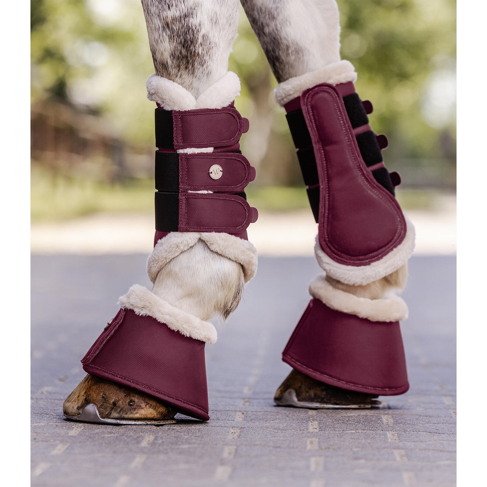 Botas de doma para caballos Waldhausen Comfort 3/4