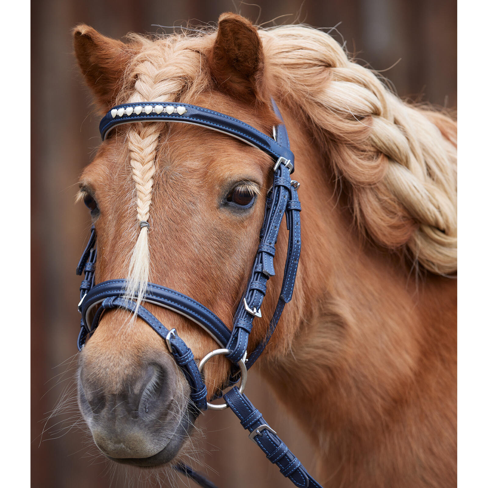 Briglia combinata da equitazione con nasello Waldhausen Lucky Heart 2/3