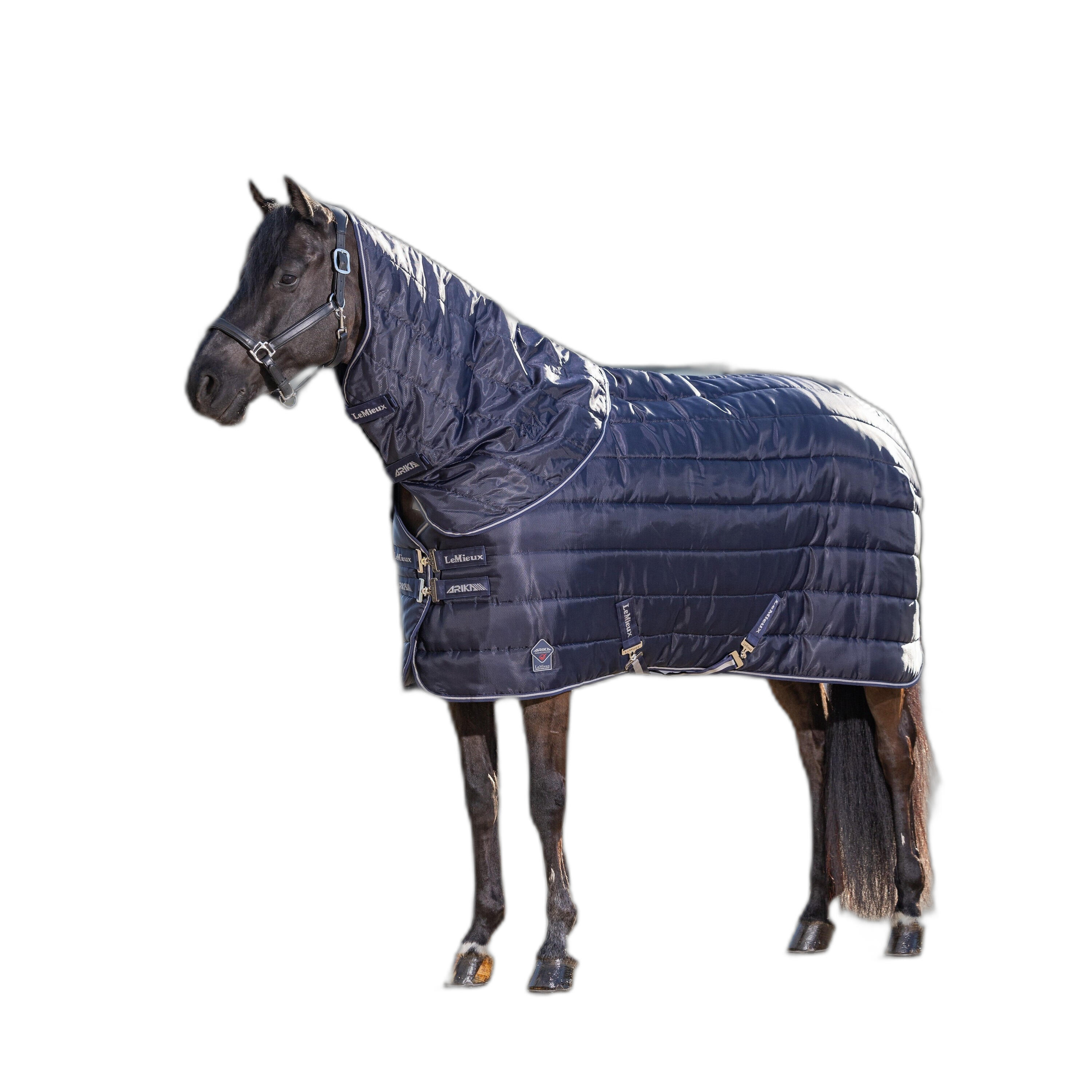 Paardendeken LeMieux Arika Stable-Tek 350g 2/5