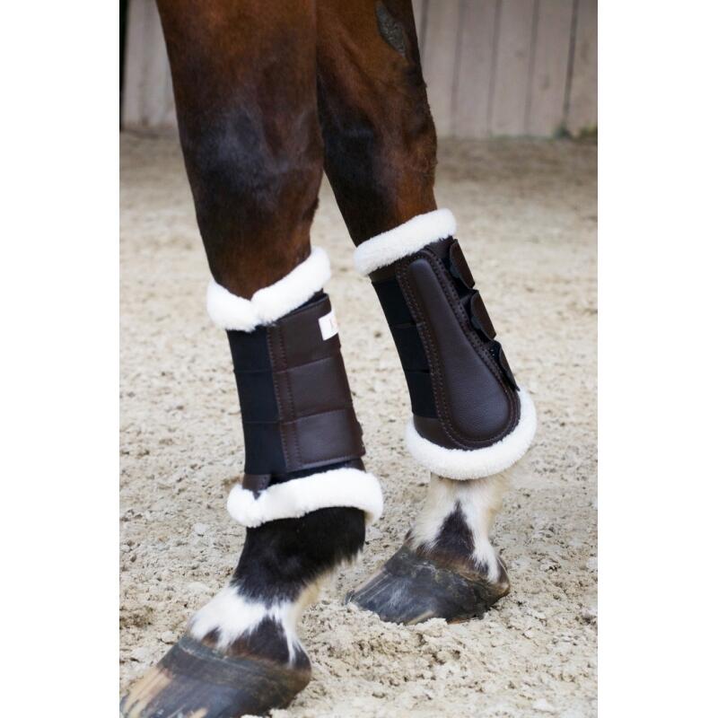 Tendon boots for dressage horses T de T Training 22 2/2