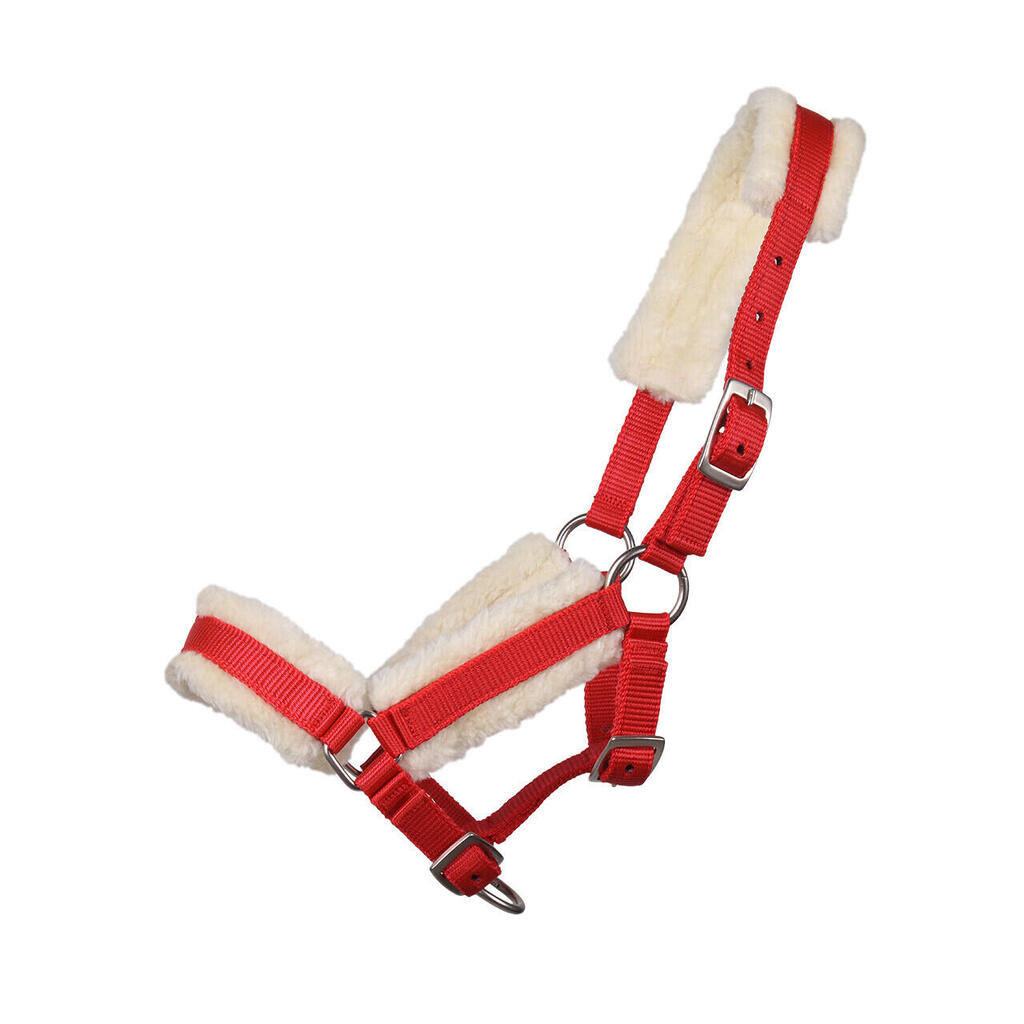 Foal halter with fur Q-essentials