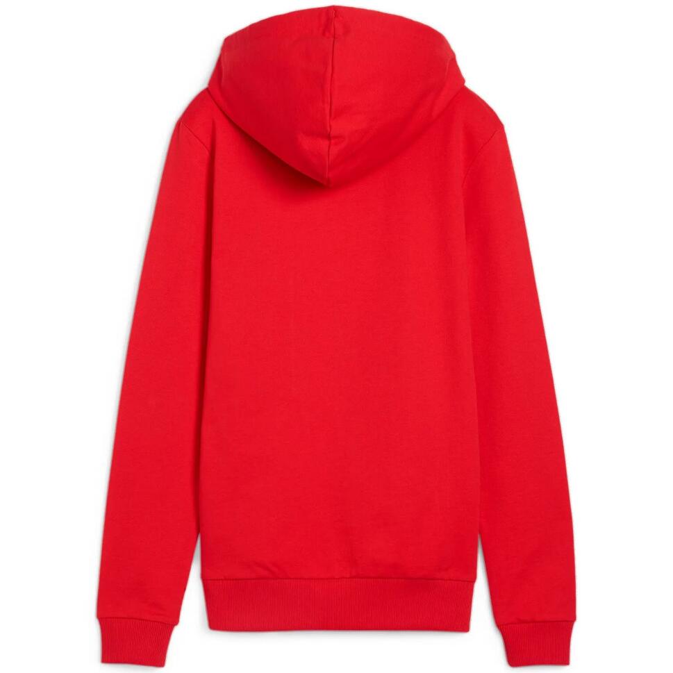 Bluza damska Puma Team Goal Casuals Hoody