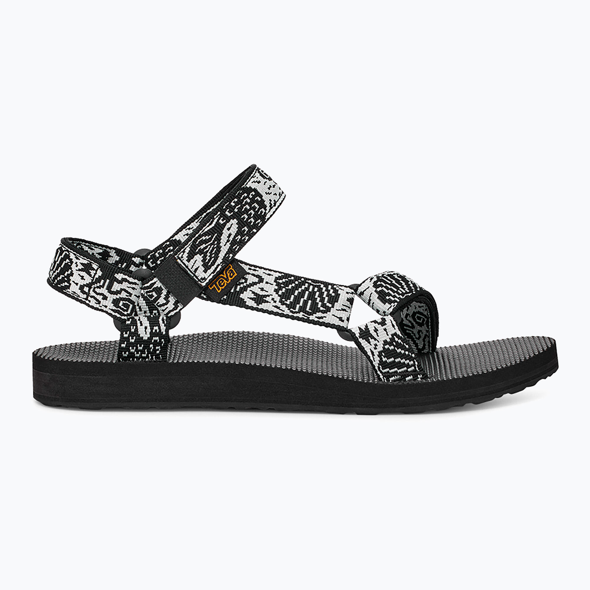 TEVA picture