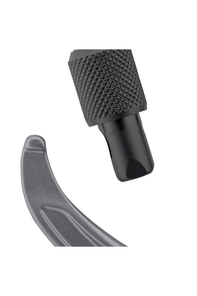 Carabiner Salewa Ortles Screw 2/4