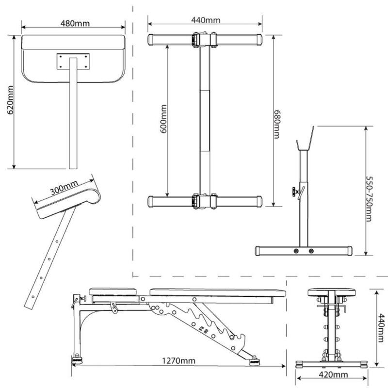 Kit d'entraînement avec banc Larry Scott réglable et rack