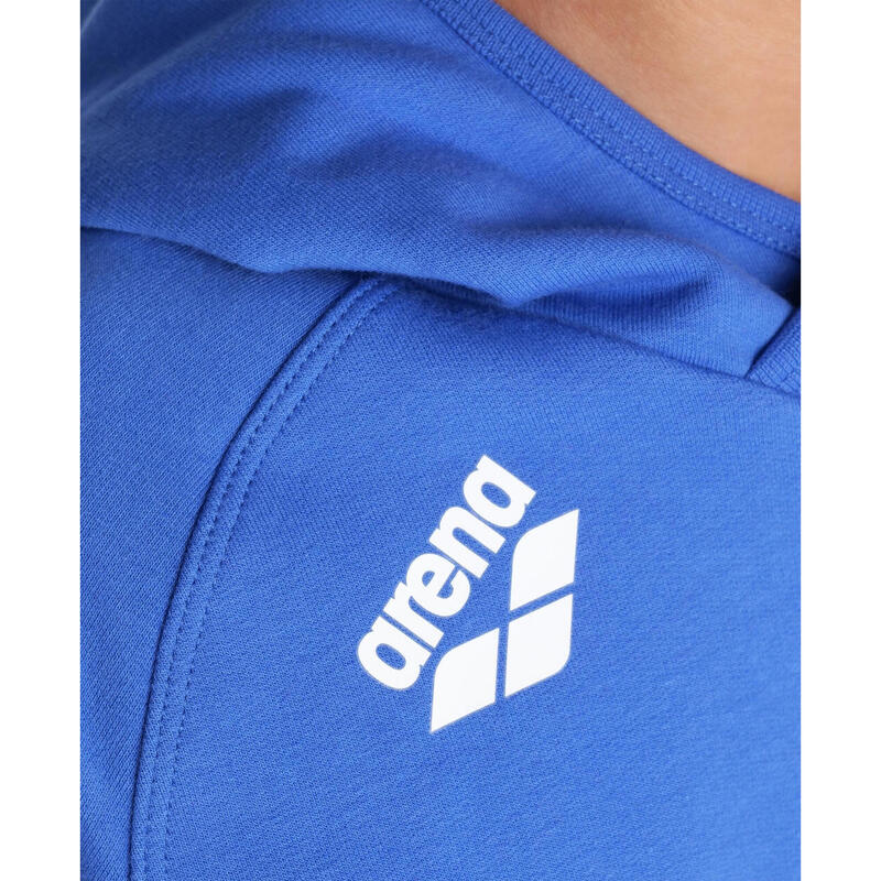 Hanorac sport Arena Junior Team Hooded Sweat Panel