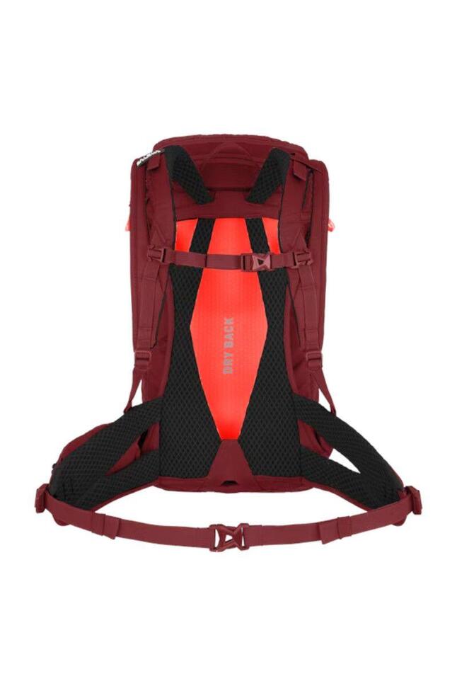 Plecak trekkingowy damski Alp Trainer 20 Women