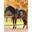 Tapis de selle Square Loire Classic Ginger DRESSAGE - LEMIEUX