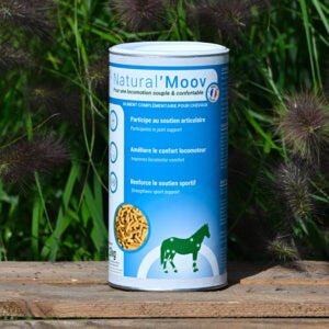 Complément pour la locomotion Natural Moov - Natural'Innov 2/4