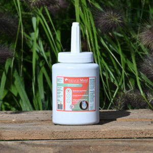 9f427511-38aa-4aba-a98f-f05856c8d2e9_c258