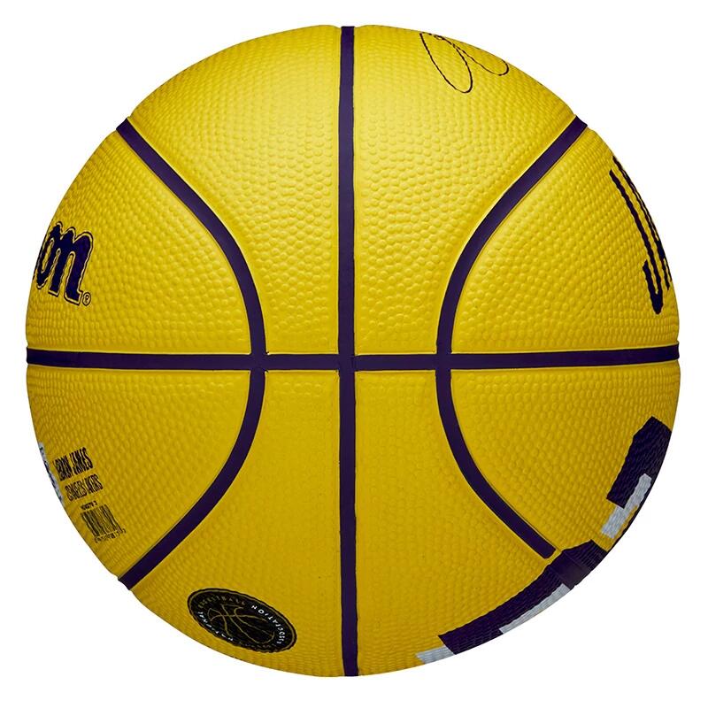 Mini-Ball Wilson NBA Player Icon - Lebron 6/7