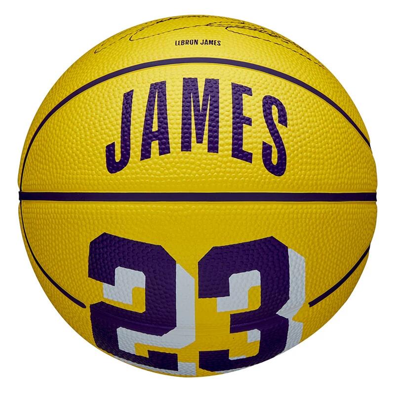 Sportsbal Mini Wilson NBA Player Icon - Lebron | Decathlon