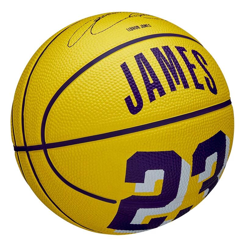 Mini-Ball Wilson NBA Player Icon - Lebron 5/7