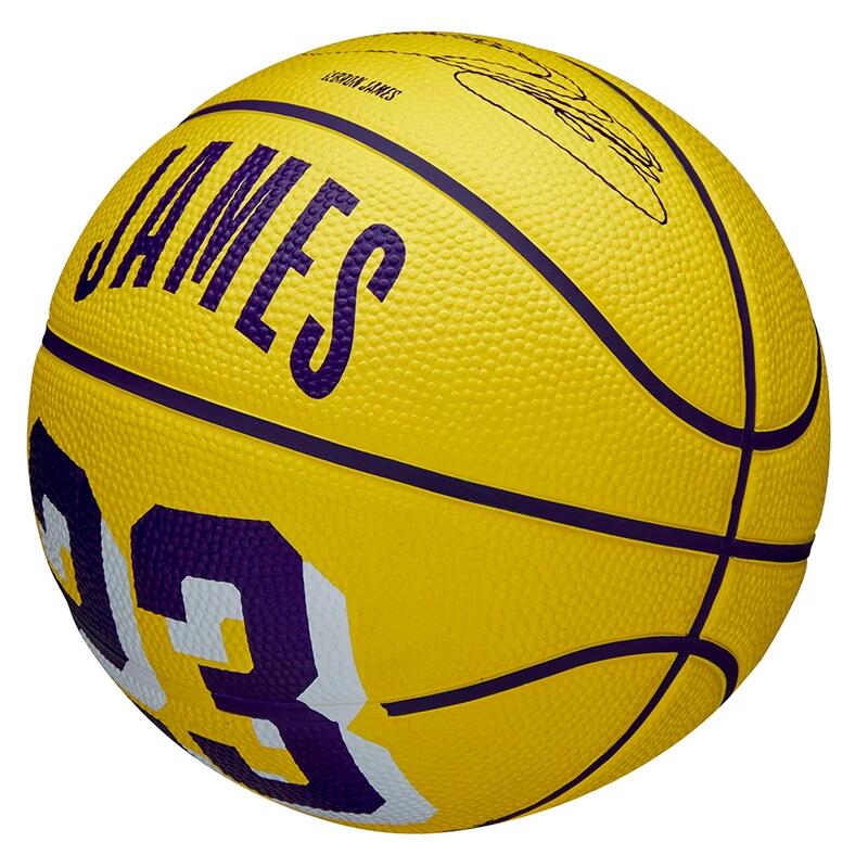 Mini-Ball Wilson NBA Player Icon - Lebron 7/7