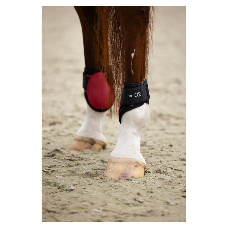 Paardenvoeten BR Equitation XO2 3/3