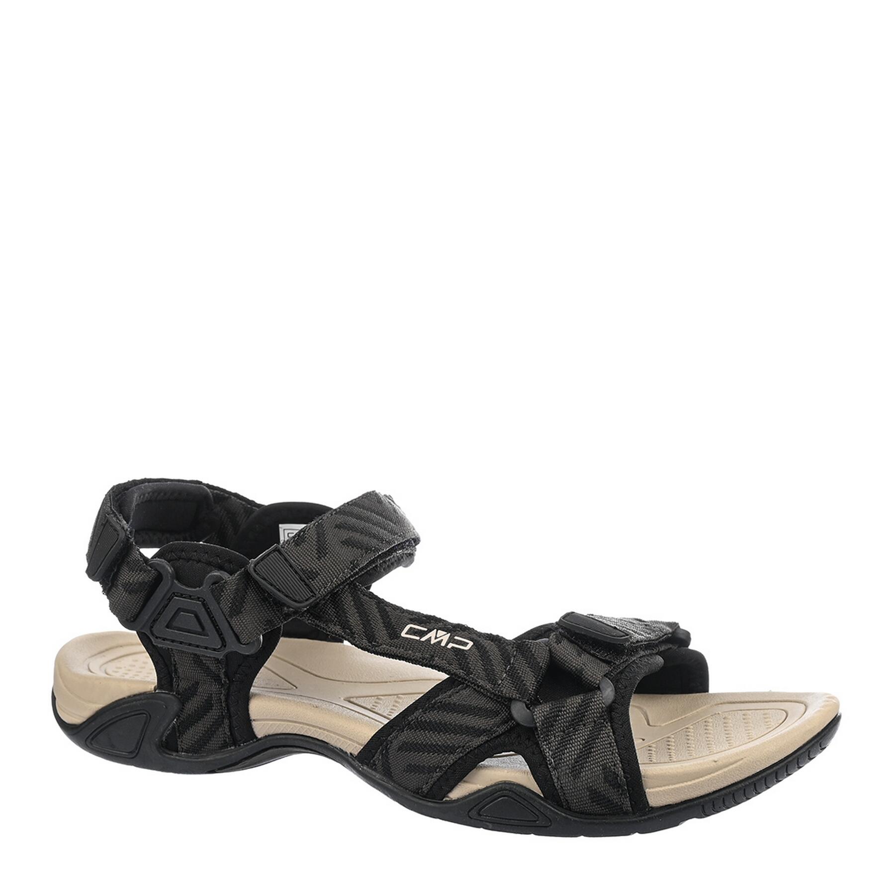 CMP picture