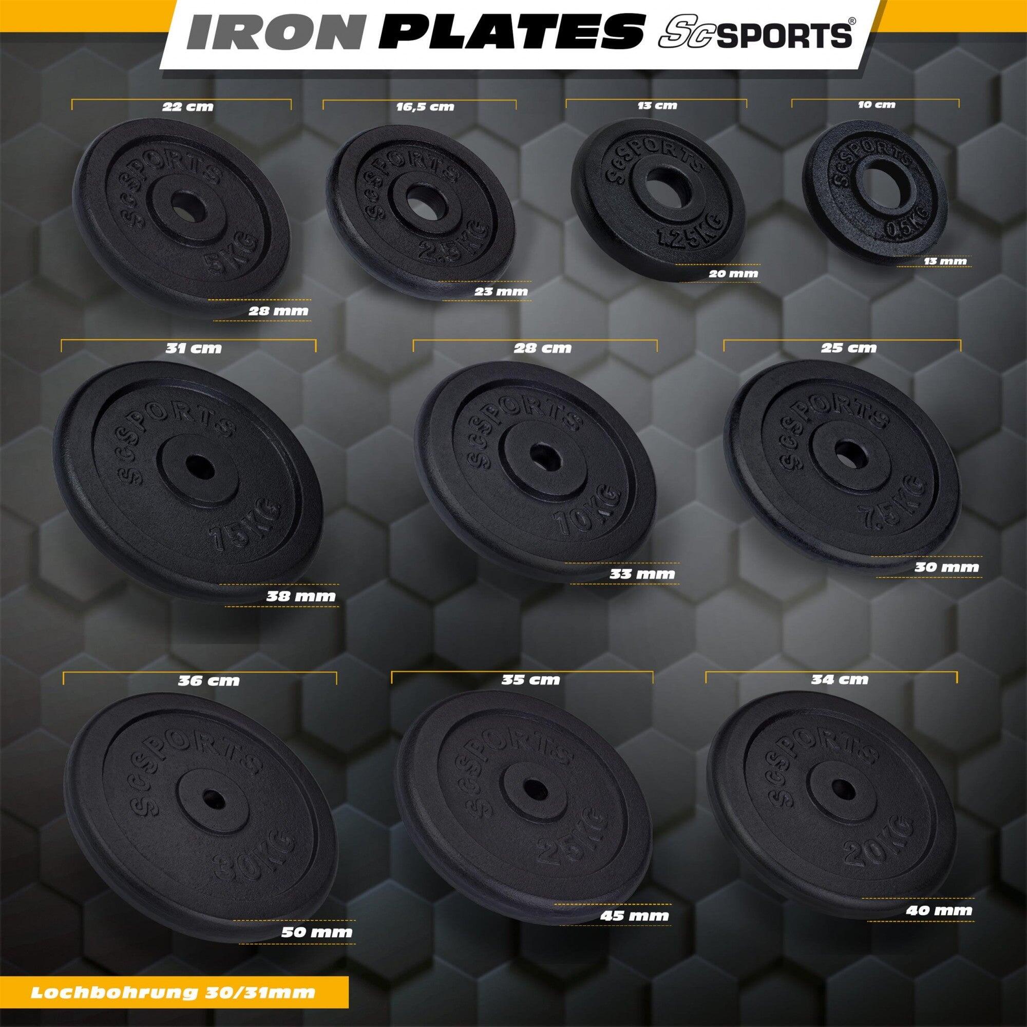 Disques de musculation 30/31 mm en fonte 30kg 6/6