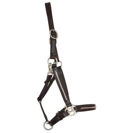 Licol pour cheval en cuir T de T Clincher