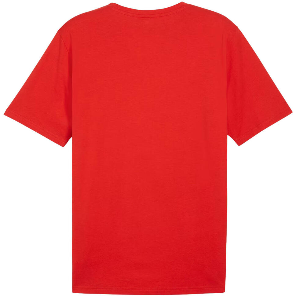Koszulka męska Puma Team Rise Logo Jersey Cotton