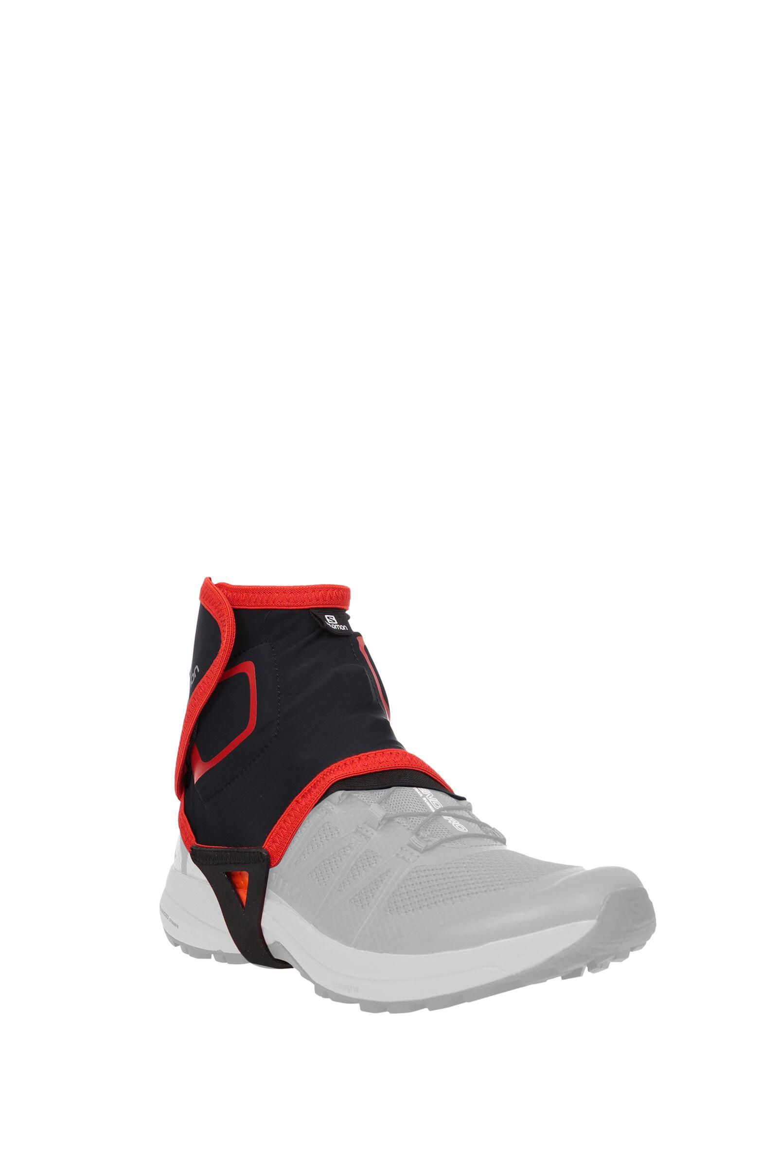 SALOMON picture