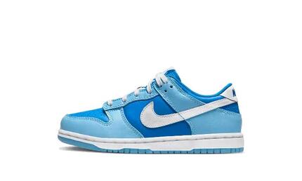 Nike Dunk Low Argon Enfant (PS)