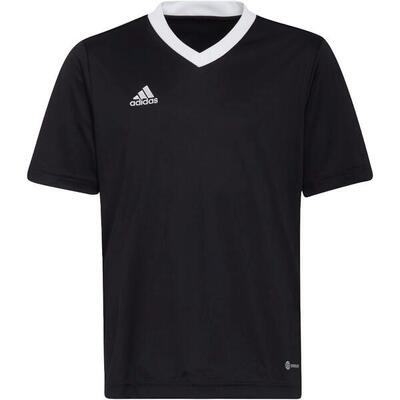 Adidas Entrada22 Kindertrikot für Jungen und Mädchen - Team Grau Vier