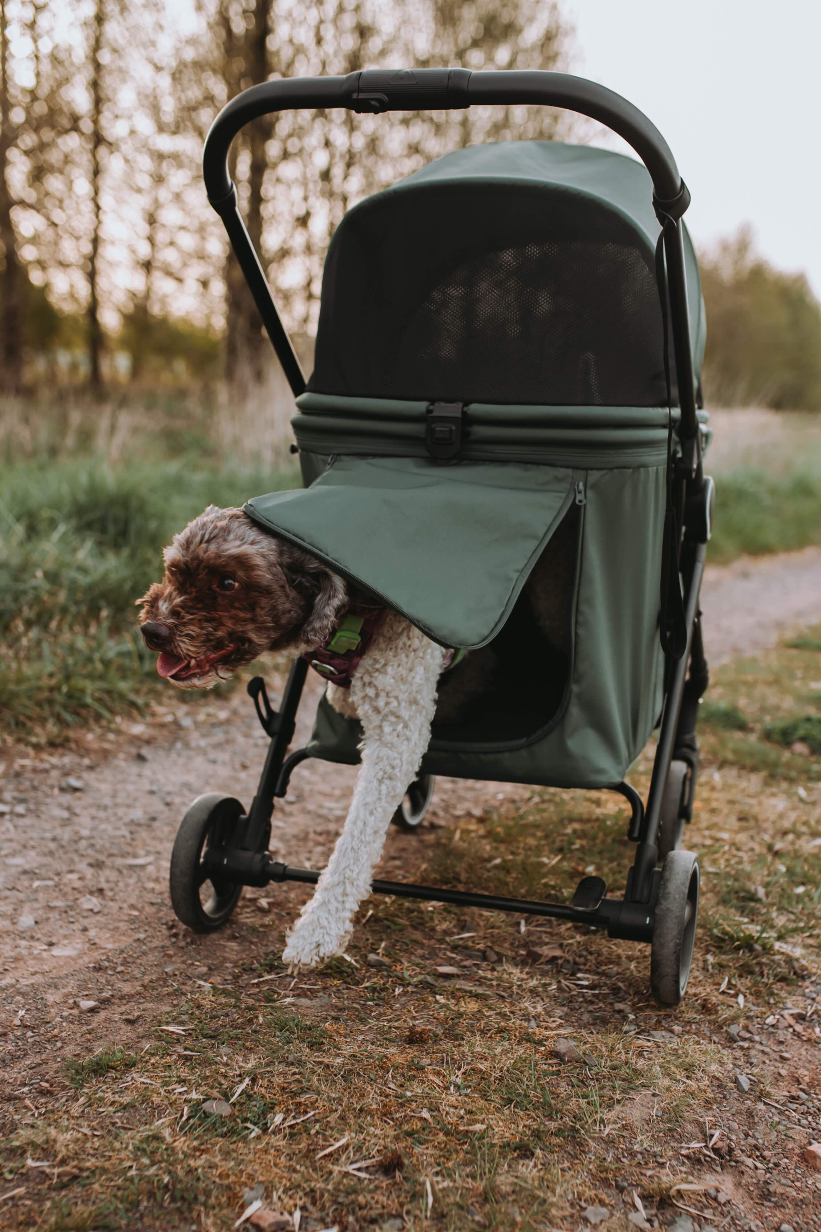 Grote wagen voor hond of kat B.RIDER  tot 30 kg 5/7