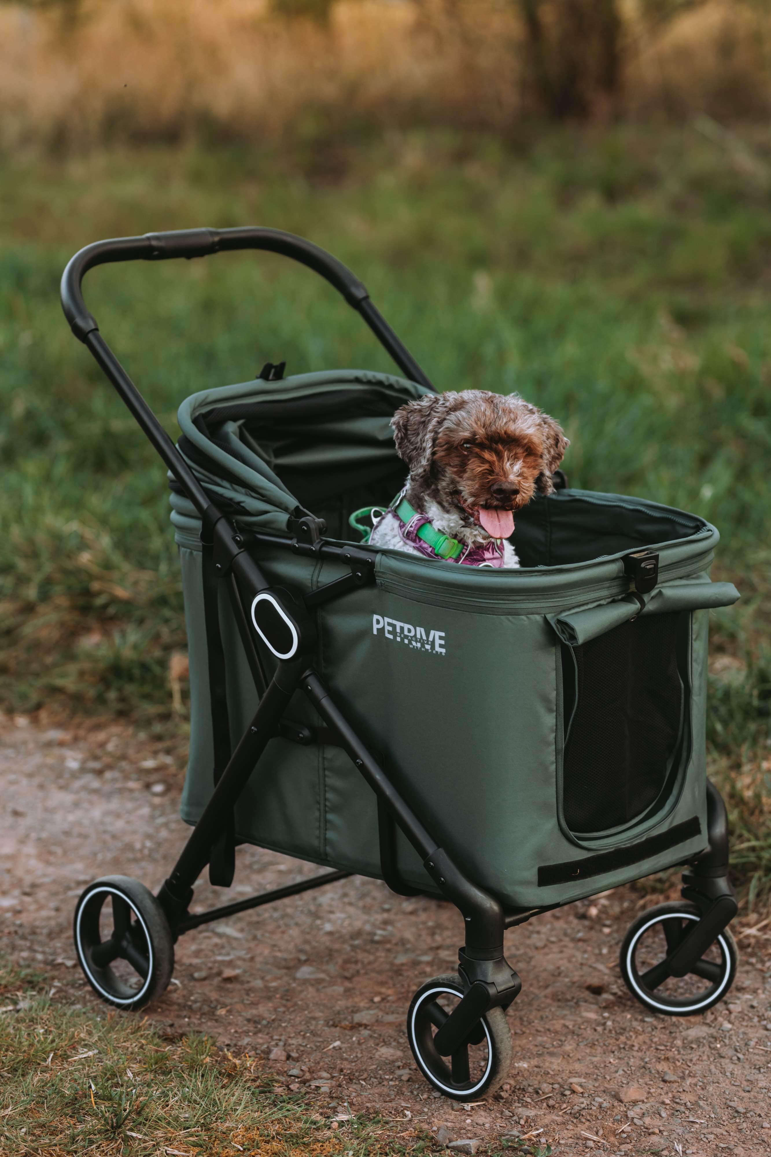 Grote wagen voor hond of kat B.RIDER groen tot 30 kg 6/7