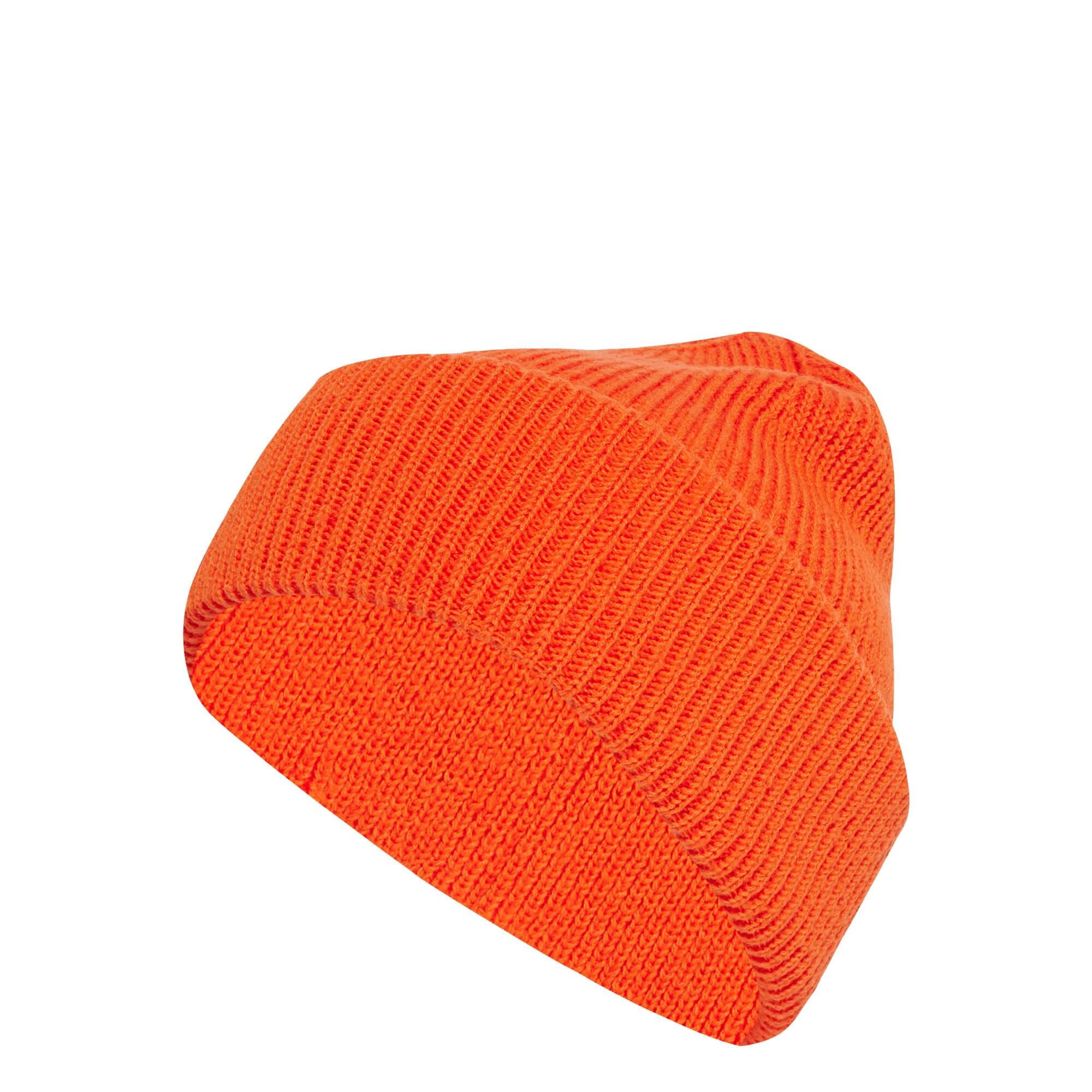 ADIDAS Terrex Multi Beanie