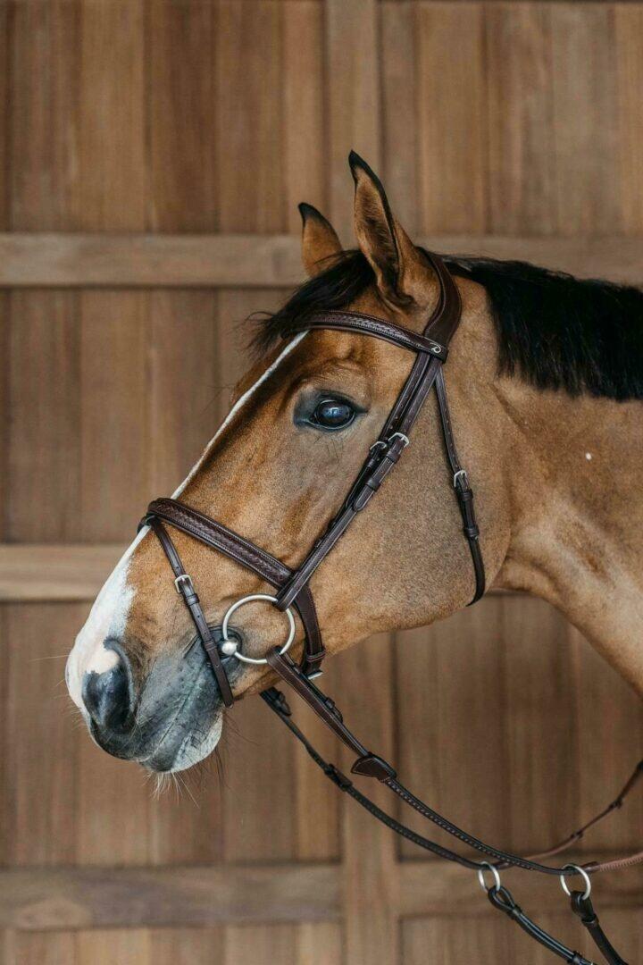 DY'ON Plaited Flash Noseband Bridle