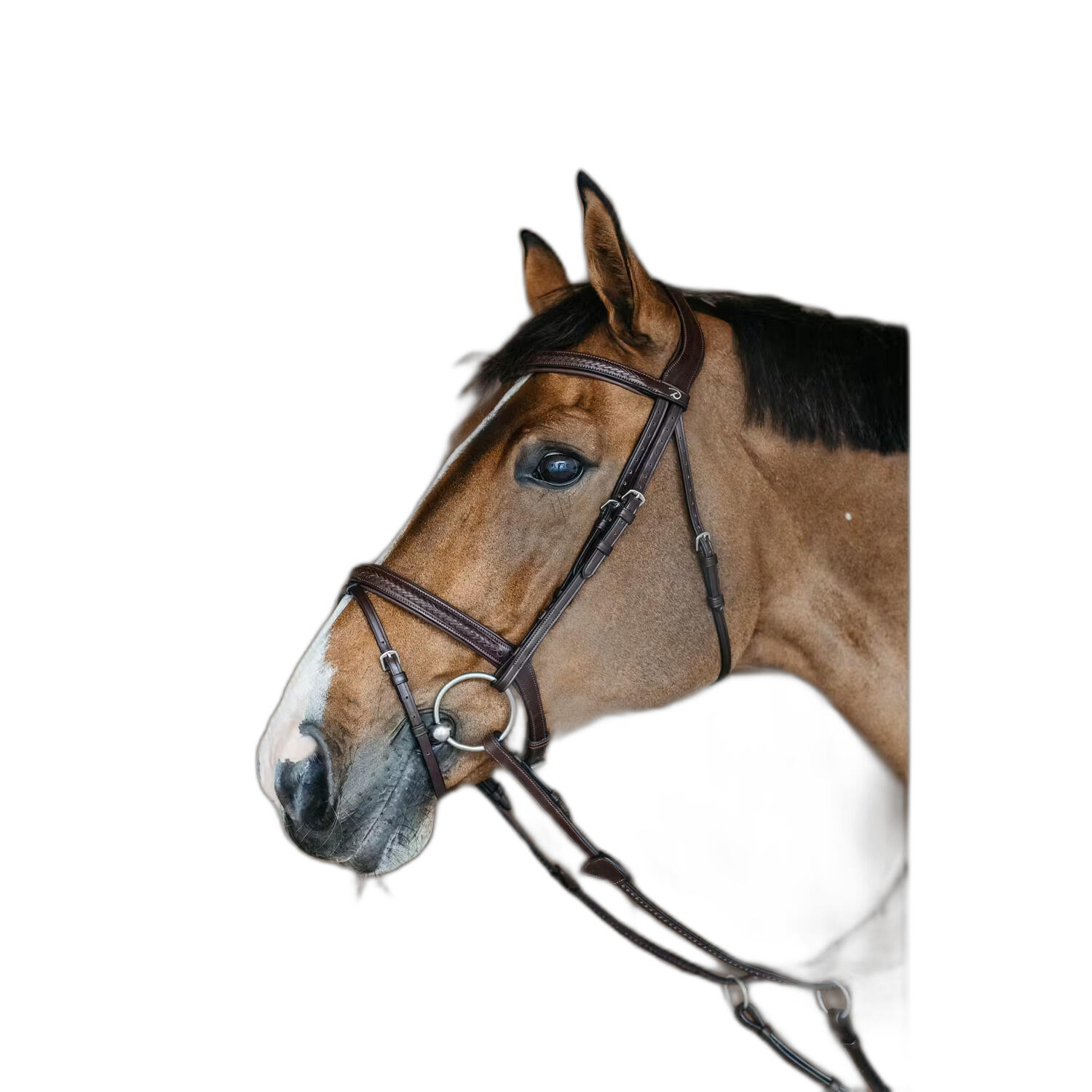DY'ON Testiera da equitazione con museruola combinata intrecciata Dy'on