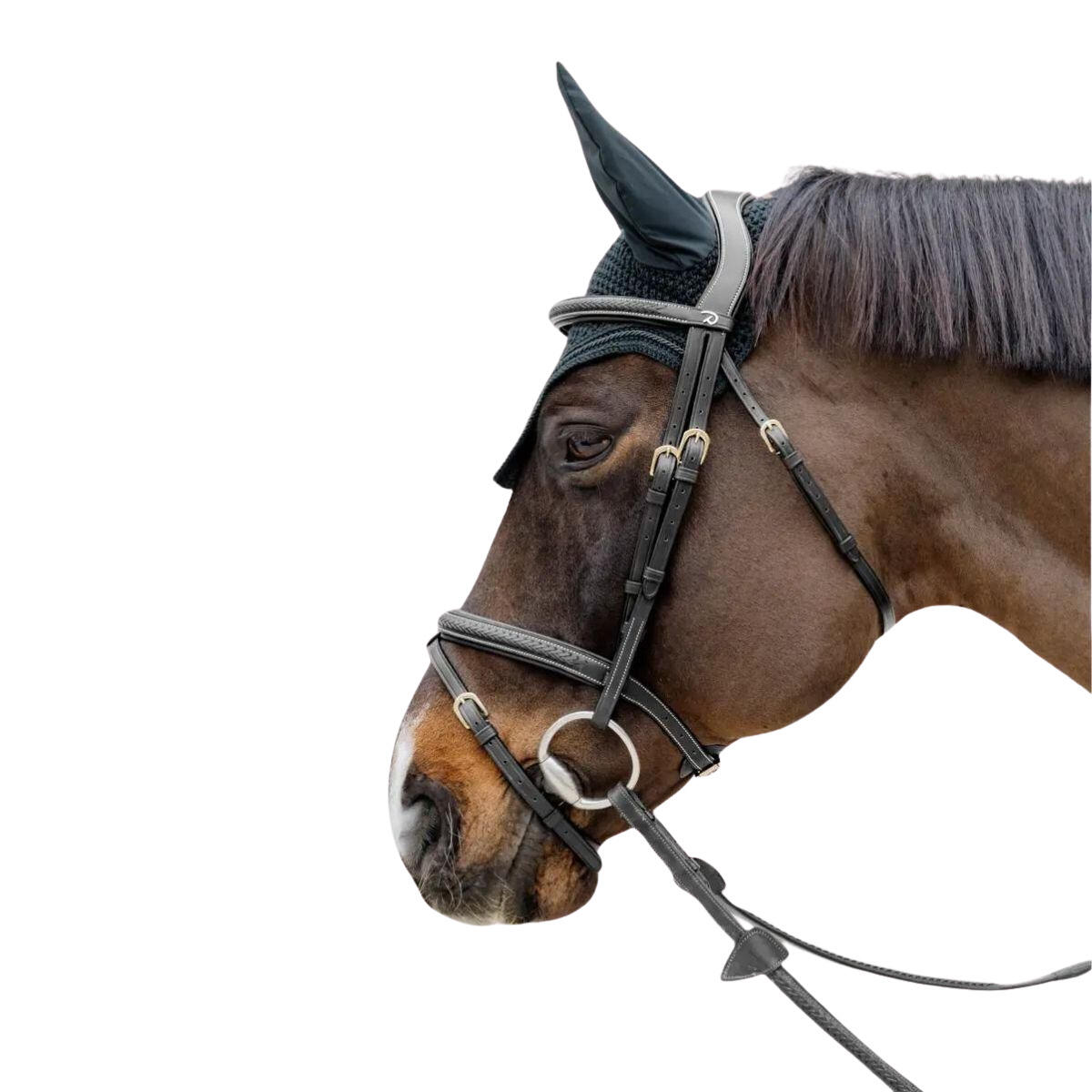 DY'ON Testiera da equitazione con museruola combinata intrecciata Dy'on