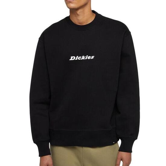 Sudadera Negra Hombre Dickies Enterprise DK0A4Z4K