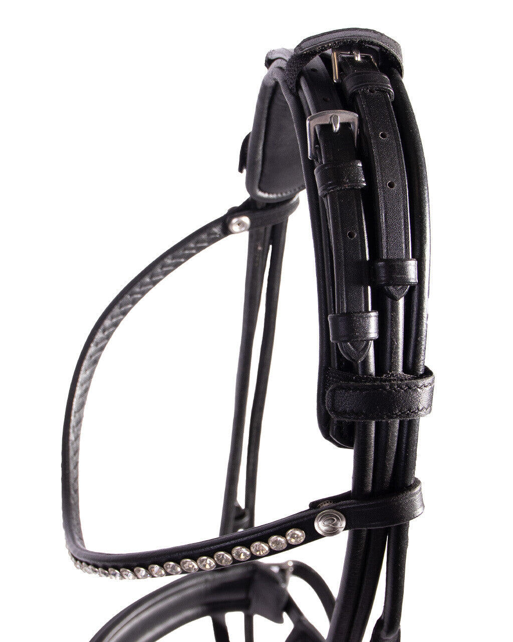 Zaumzeug Reiten QHP Cyrelle 4/4