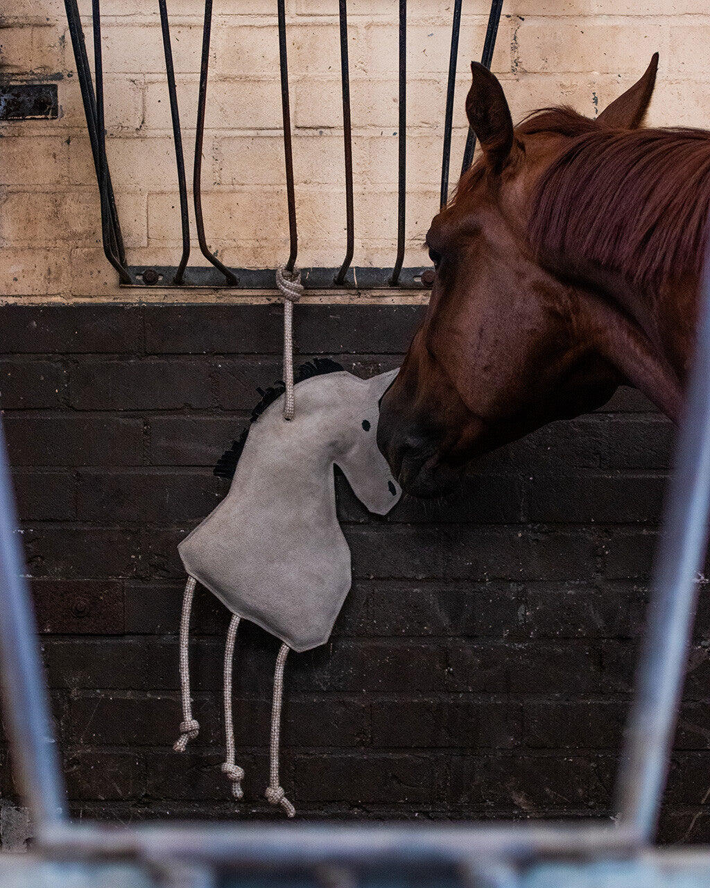QHP Stalmaatje Paard 3/3