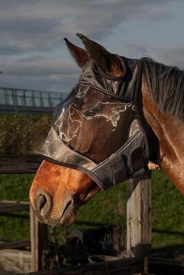 Fliegenmaske ohne Ohrenschutz Harry's Horse Flyshield
