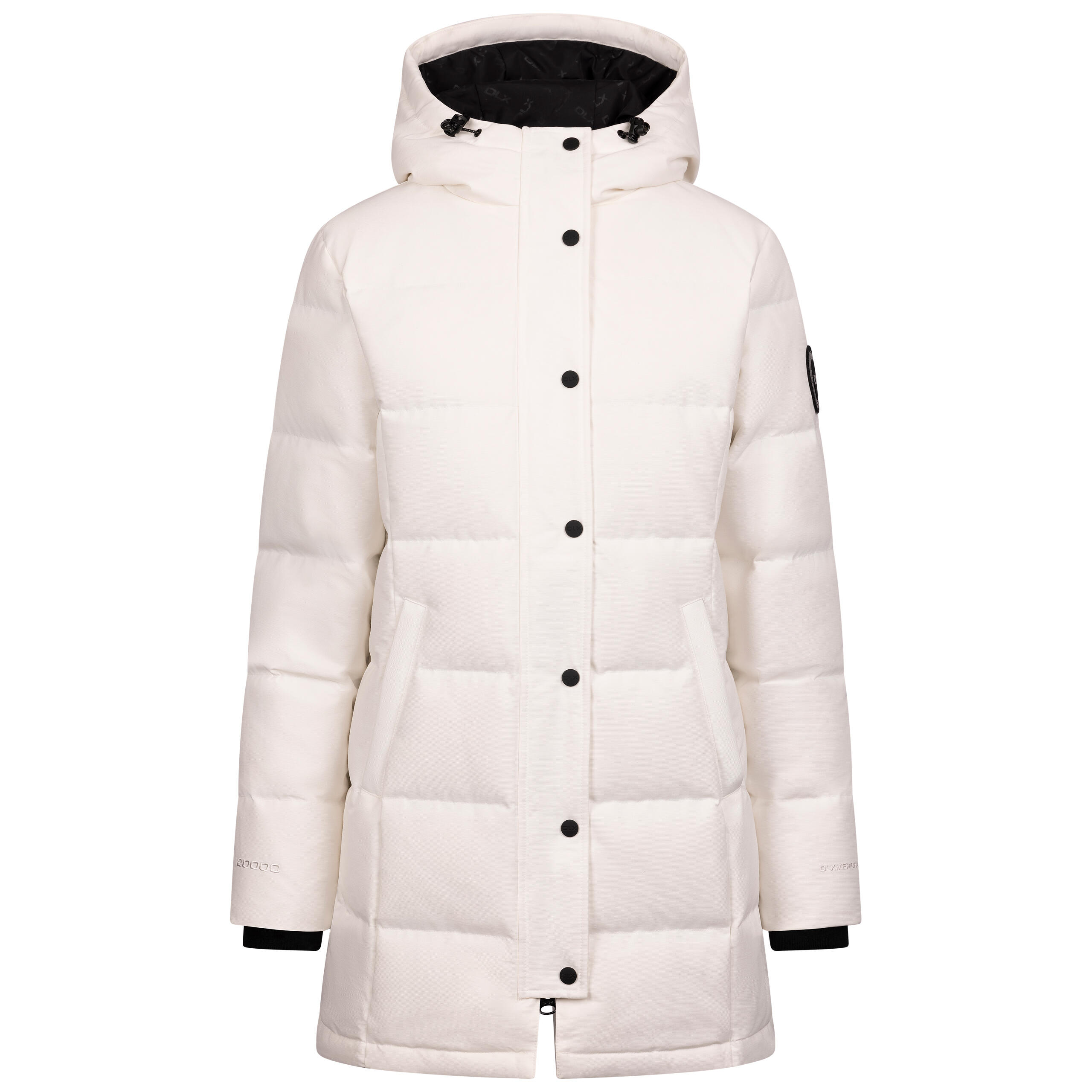DLX picture