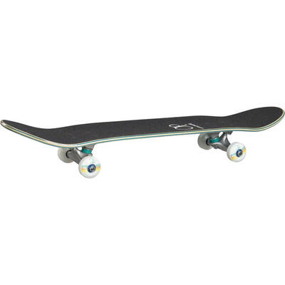 Skateboard ocean pacific sunset