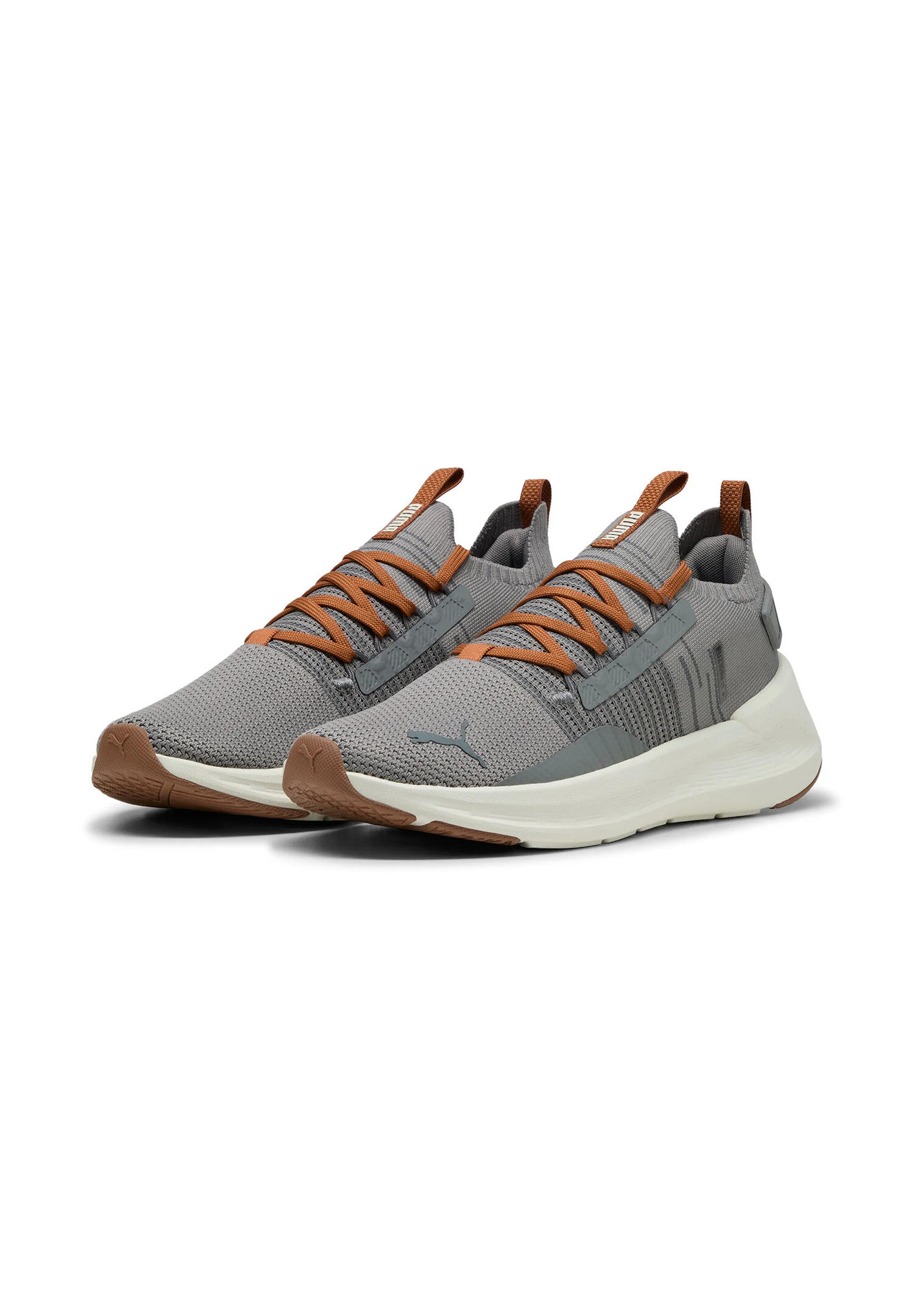 PUMA picture
