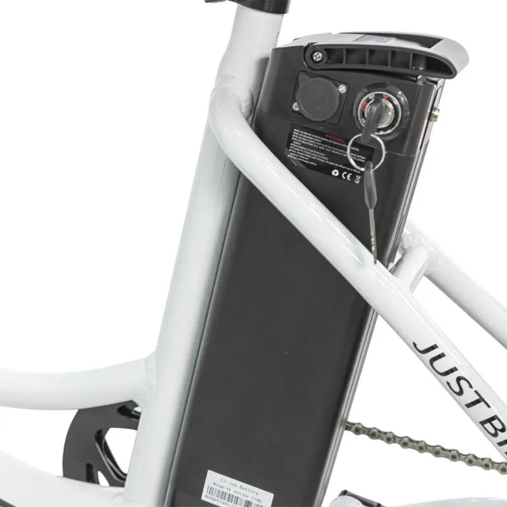 Tricycle cargo électrique JOBOBIKE Triker, batterie LG 48 V 15 Ah 4/4