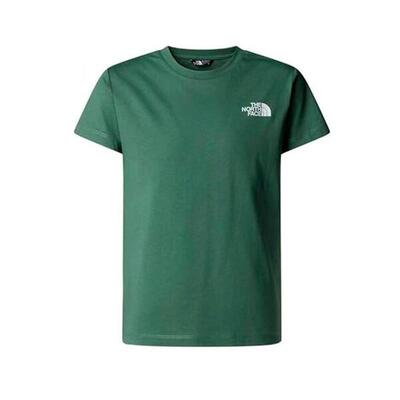 Camiseta Niño The North Face B BOX NSE TEE Verde