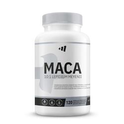 Maca 500mg - 120 vegetable capsules de MM Supplements