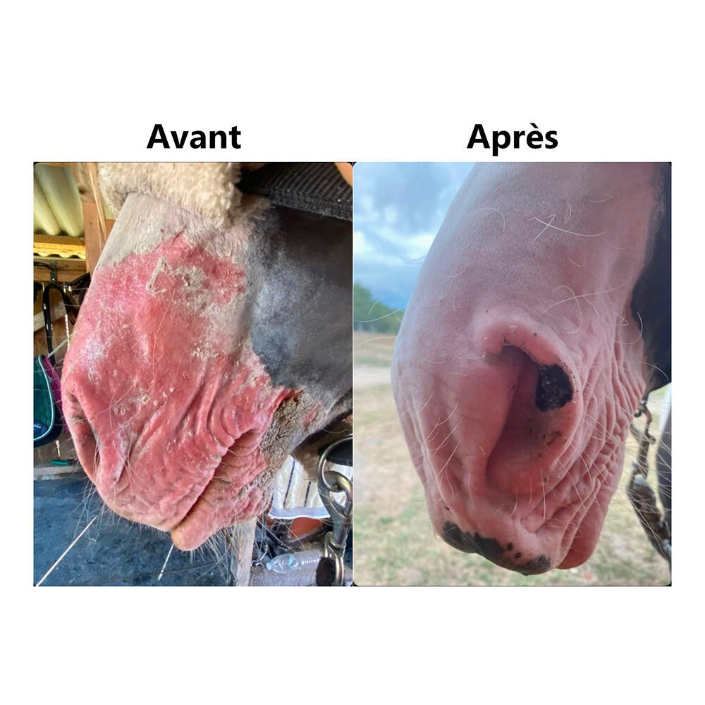 Protection solaire 100% naturelle cheval, chien et chat Ekin 350g 4/4