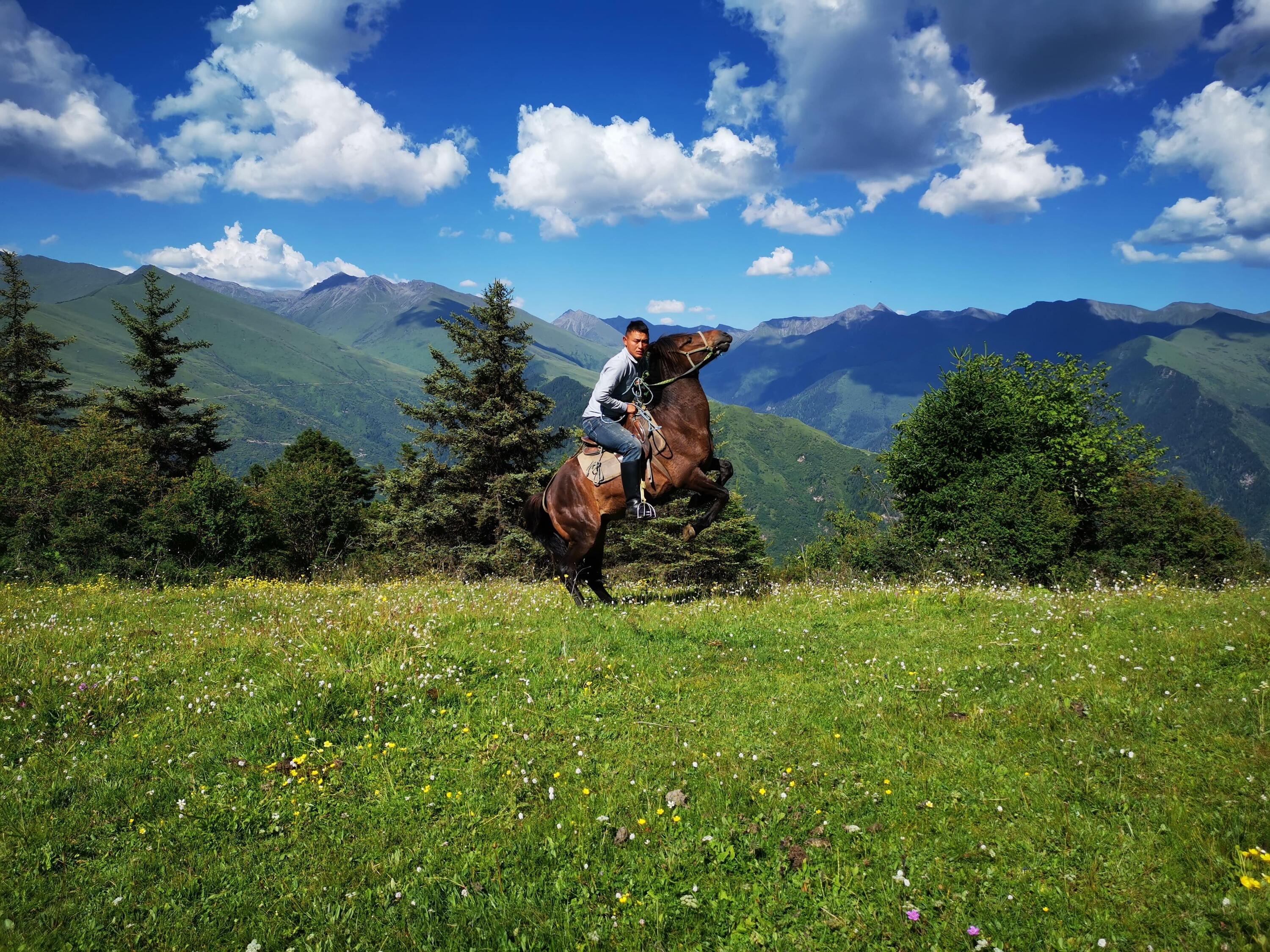 DECATHLON TRAVEL picture